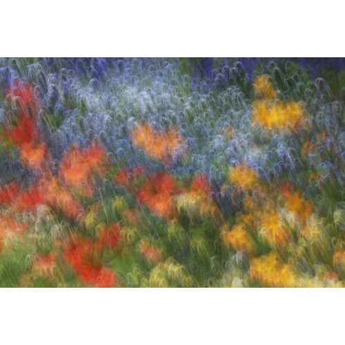 Canada Abstract blur of garden colors